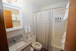 a bathroom with a toilet and a sink and a shower at SunRidge at Willow Cove in Bass Lake +22 photos
