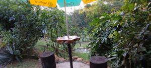 Zahrada ubytování Chalé Refúgio Jaguary