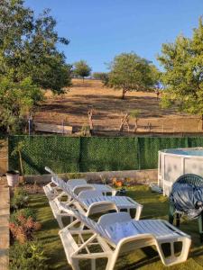 a row of lawn chairs sitting in the grass at Yellow hill Batinac in Ćuprija