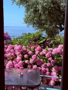 乌尔齐尼Apartments Hollaj的相册照片