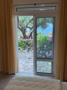 乌尔齐尼Apartments Hollaj的相册照片