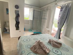 a bedroom with a bed and a bathroom with a shower at Le cocon de Cathy in Rivière-Pilote