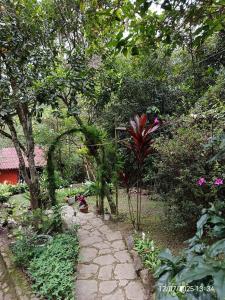 a path in a garden with trees and flowers at Mariposario La Crysalida in San Francisco