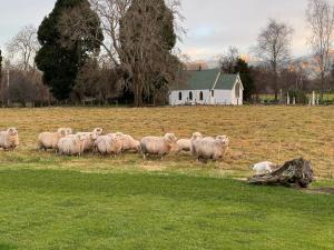 Paisagem natural perto of the country house