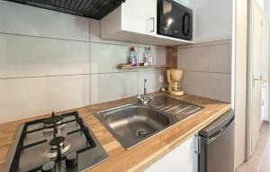 Méjannes-le-ClapにあるPetite Maison Campagneのシンクとコンロのある小さなキッチン