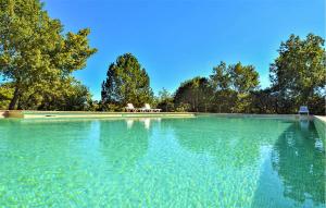 Méjannes-le-ClapにあるPetite Maison Campagneの木々を背景にした大きな水のプール