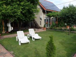 A garden outside Apartments in Siofok - Balaton 35627