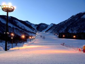 小谷村にある奥白馬温泉　ホテルグリーンプラザ白馬の街灯と山々のある雪に覆われた通り +37枚の写真