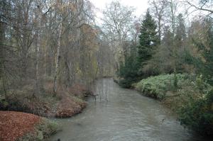Príroda v okolí hotela