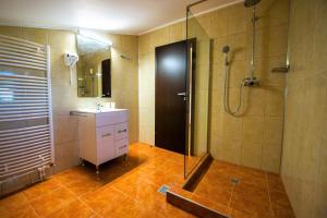 a bathroom with a shower and a sink at Elina in Techirghiol +28 photos