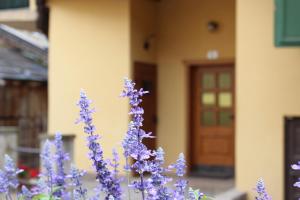 a bunch of purple flowers in front of a building at Casa di Gio in Cavalese