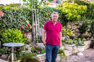 Vonkajšia záhrada v ubytovaní Villa Amigo