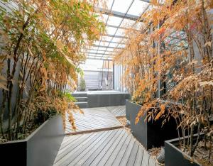 Κήπος έξω από το JS Boutique Hotel