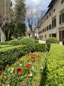 Zahrada ubytování Hotel Villa San Lucchese