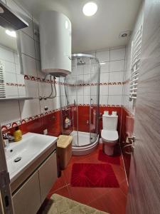 Koupelna v ubytování Apartment Anita Cetinje