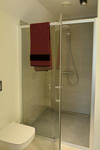 a bathroom with a shower with a toilet and towels at Viitina vesiveski in Rõuge
