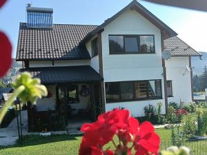 a house with a red flower in front of it at Casa Vasy in Vatra Dornei