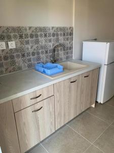 a kitchen with a sink and a white refrigerator at ELPIDA View in Kallithea Halkidikis +78 photos
