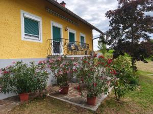 Zahrada ubytování Ferienhaus Temmel