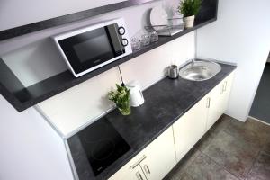 Kuchyňa alebo kuchynka v ubytovaní Pure Apartments Kraków