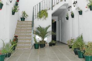 um corredor com vasos de plantas e escadas numa casa em Casa Pacheco em Conil de la Frontera