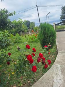 Φωτογραφία από το άλμπουμ του Kisa σε Martvili