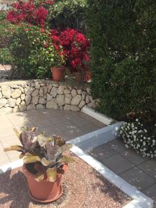 Vonkajšia záhrada v ubytovaní Villa Alejandría