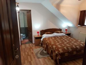 ein Schlafzimmer mit einem Bett und ein Badezimmer in der Unterkunft Pension Anastasia in Gura Humorului