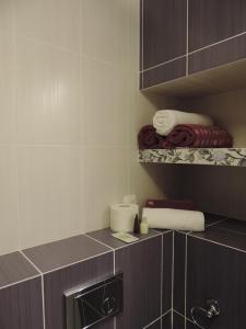 uma cozinha com um balcão com toalhas em Apartament Violet em Krosno