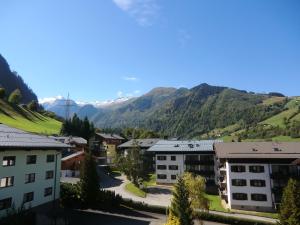 uma vista para uma aldeia com montanhas ao fundo em Appartement Wieser em Kaprun