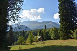 a house in a field with trees and mountains at Kirari Mount Camp in Zemo-Margi +5 photos