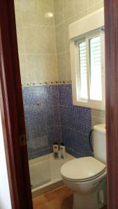 コニル・デ・ラ・フロンテーラにあるHostal las Parcelasのバスルーム(トイレ、シャワー付)