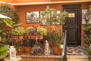 Zahrada ubytování Hotel Modigliani
