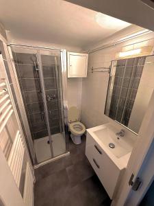 a bathroom with a shower and a toilet and a sink at Eaux Iris - Studio avec Jardin privatisé proche Casino in La Roche-Posay