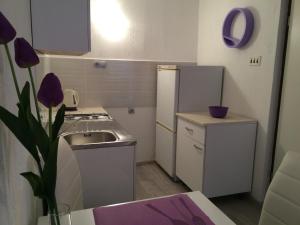 Kuchyň nebo kuchyňský kout v ubytování Apartments Nina