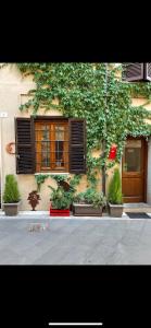 Villa San Giovanni in TusciaにあるLa Fontana di Nonna Checchinaの横に植物が生える建物