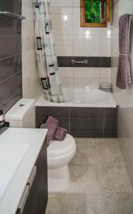 a bathroom with a toilet and a sink and a shower at Lindos SeaSide Junior Apartment in Lindos