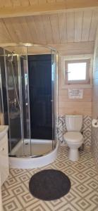 a bathroom with a shower and a toilet and a sink at Szary Domek Mikołajki in Mikołajki