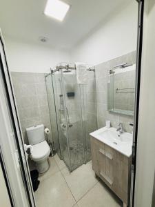 un bagno con doccia, WC e lavandino di Vila Ramos II-Funchal a Funchal