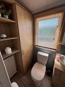 a small bathroom with a toilet and a sink at Sunnymede B5 - Fantasy Island - HOT TUB, ramped decking, patio doors, central heating, pet friendly - Meadow Lakes Caravan & Lodge Hire in Ingoldmells