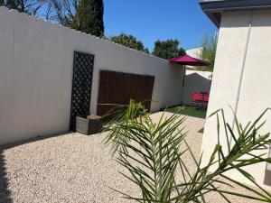 a plant in front of a white wall at Maison de 40m2 avec jardin de 50m2 in Orange