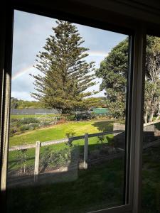 Příroda nedaleko prázdninového domu + 5 fotografií