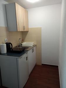 Kuchyň nebo kuchyňský kout v ubytování Apartman Tristan