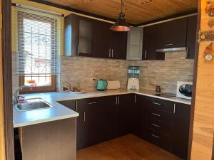 Kuchyň nebo kuchyňský kout v ubytování Дача Тиха + 2 fotografie