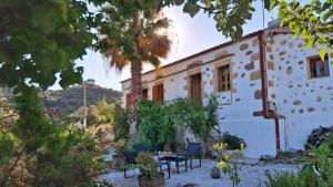a house with a palm tree in front of it at Villa Nama in Kissamos