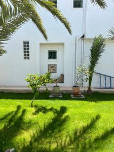 Galeriebild der Unterkunft Maison dhotes haroun in Triffa + 48 Fotos