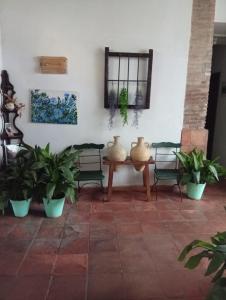 Fotografie z fotogalerie ubytování El Zaguan v destinaci Granada