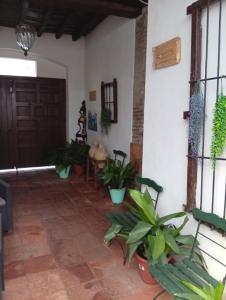 Fotografie z fotogalerie ubytování El Zaguan v destinaci Granada