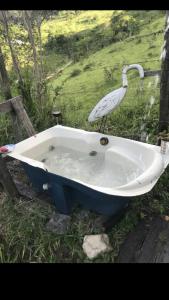 a bird standing in a bath tub in a field at Refúgio, Aconchego, Aonde nasce o sol e Cachoeira! in Mercês +50 photos