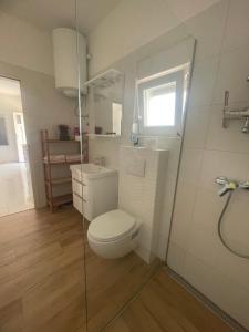 a bathroom with a toilet and a glass shower at Apartmani Stellar in Malinska +16 photos